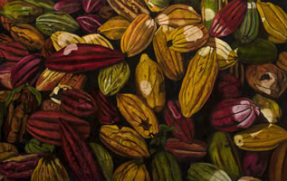 Mazorcas de cacao, 2013, óleo/lino, 142 cm X 190 cm