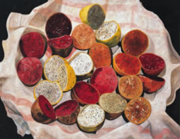 Pitayas, 2005, oil on canvas 52.8 x 68.9 in