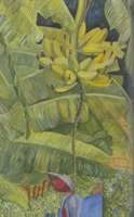 Plátanos maduros, temper oil on canvas 39.4 28.8 in