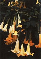 Daturas verticales, 2002, oil on canvas 64.6 x 44.9 in