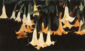 Daturas horizontales, 2002, oil on canvas 38.2 x 63.8 in