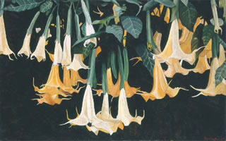 Daturas Horizontales, 2003, oil on canvas 31.9 x 51.2 in
