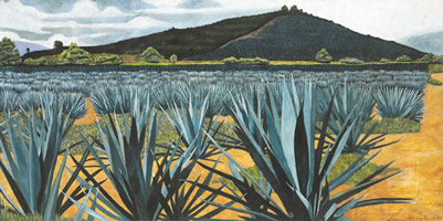 Agaves tequileros, 2002, oil on canvas 33.9 x 67.7 in