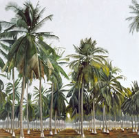 Palmar del Pacífico, 2004, oil on canvas, 58.3 x 58.3 in