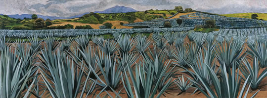 Agaves grandes, 2009, oil on canvas, 33.9 x 90.6 in