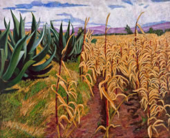 Milpas secas con magueyes, 2010, oil on canvas 31.8 X 39.3 in