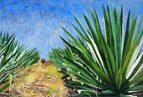 Agaves con cielo azul, 2004, óleo/lino, 132 cm X 200 cm