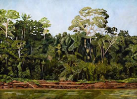 Selva Amazónica, 2012, óleo/lino, 75 cm X 100 cm
