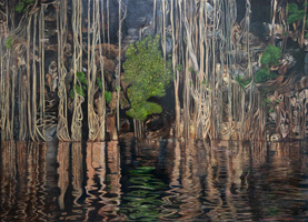Cenote de Yokdzonot, 2021